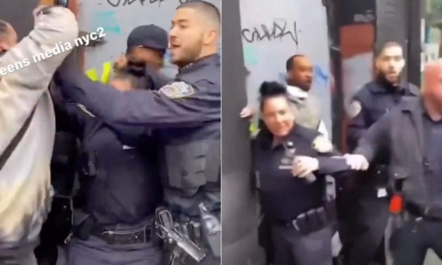 Raging Harlem Mob Tries to Deliver Street Justice to Man Accused of Punching 43-Year-Old Woman and Slashing 11-Year-Old Girl (VIDEO)